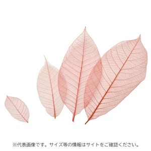 カラースカシ木の葉(赤) 約16cm 50入 萬洋