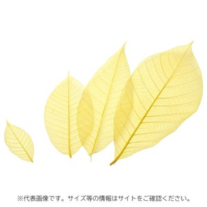 カラースカシ木の葉(黄) 約8cm 50入 萬洋
