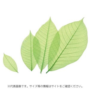 カラースカシ木の葉(緑) 約8cm 50入 萬洋