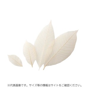 スカシ木の葉 100枚入 M 萬洋
