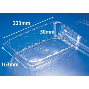 サラダ容器 バイオ 角ケース 22L-1200BZ リスパック