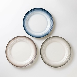 Main Plate Plate 22cm