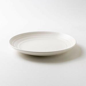 Main Plate Plate 23cm