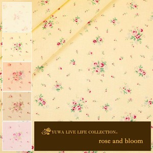 Cotton bloom 5-colors