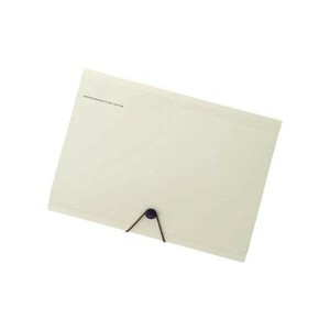 LIHIT LAB.(リヒトラブ)　SMART FIT　キャリングドキュメント　A4　ベージュ　A-7589-16