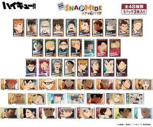 アニメ「ハイキュー!!」　スナップマイド