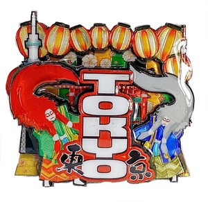 Magnet/Pin
