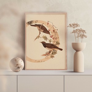 北欧ポスター 【 ビンテージ birds 】 サイズ豊富　ヴィンテージポスター 鳥 ベージュ