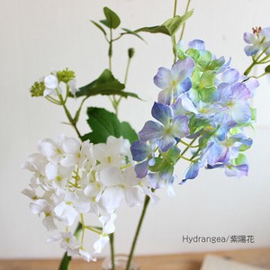 ハイドランジア　35181【New商品】
