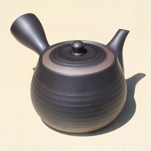 Tokoname ware Japanese Teapot