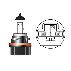 M&Hマツシマ ハロゲンバルブ(1個) HS5 12v 35/30w S2イエローヴィーナス 115 VN