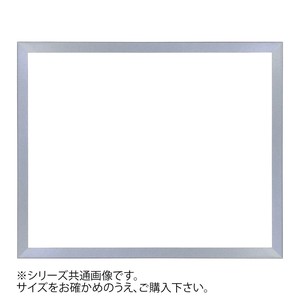 デッサン額 正方 桜平型 シルバー 45角450×450 アクリル