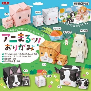Education/Craft Origami