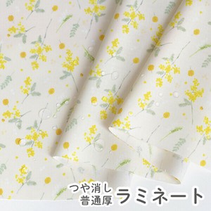【生地】【布】【サラサラつや消しラミネート】 春を待つミモザブーケ
