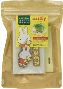 ミッフィー 栽培セット ハーブ栽培キット マスタードスプラウト 　植物