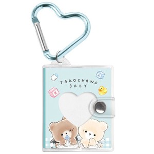 Key Ring Collect Album Key Ring