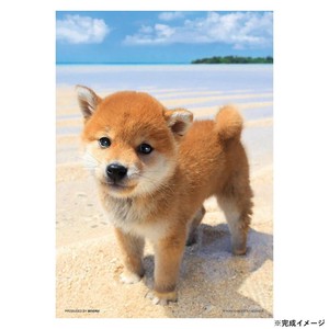 ビバリー ペットジグソーパズル ぼくの海 108ピース P108-840