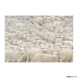 ビバリー 地獄パズルジグソーパズル 眠くなるパズル 1000マイクロピース M81-627