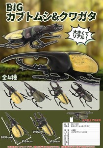 BIGカブトムシ&クワガタ