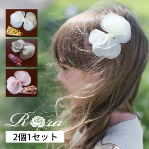 Clip Hair Clip Set of 2