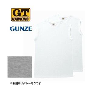 グンゼ インナー G.T.HAWKINS サーフシャツ 丸首 2枚組 グレーモク L HK10182
