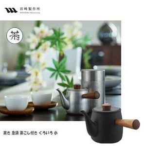 Japanese Teapot with Tea Strainer Small 0.38 Tea Pot