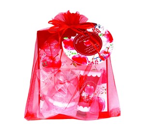 【予約販売】プチギフト　 オーガンジーギフト　りんご