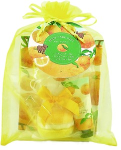 【予約販売】プチギフト　 オーガンジーギフト　ゆず