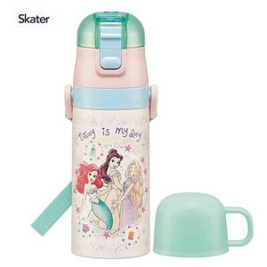 Disney Water Bottle 2Way Skater Stainless Steel Bottle