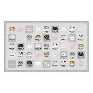 Picnic Blanket