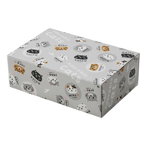 Bento Box