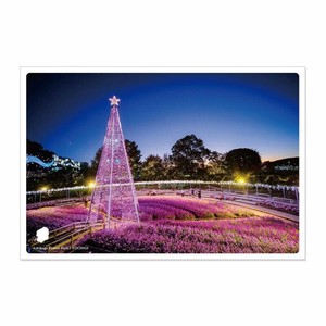 日本の絶景PC JPC-114 冬のあしかがﾌﾗﾜ