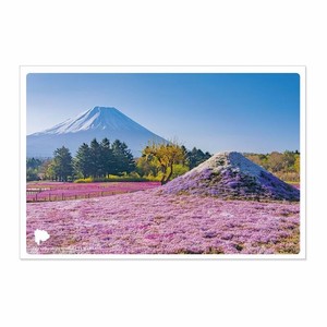 日本の絶景PC JPC-115 富士芝桜まつり