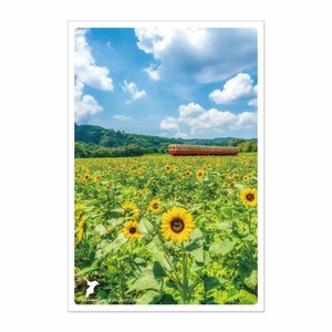 日本の絶景PC JPC-121 石神のひまわり
