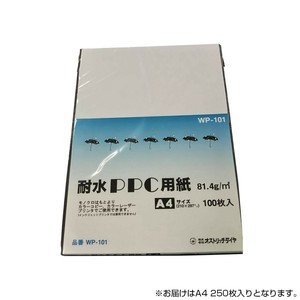 オストリッチダイヤ 耐水性PPC用紙  A4 250枚パック WP-251