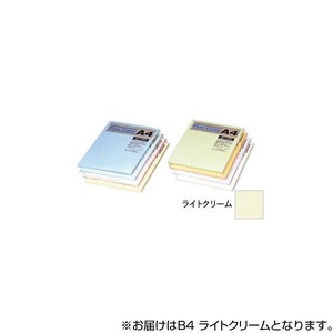 オストリッチダイヤ ニューファインカラーPPC用紙 B4 ライトクリーム 500枚入 FRC5-B4