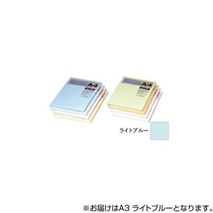 オストリッチダイヤ ニューファインカラーPPC用紙 A3 ライトブルー 500枚入 FRB5-A3