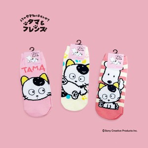 レディース靴下"うちのタマ知りませんか？" タマ　シロ
