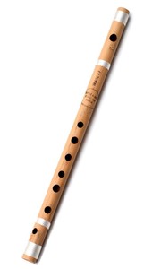 Musical Instrument