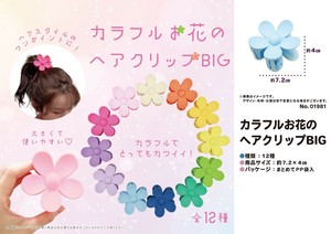 Clip Hair Clip Colorful Flowers