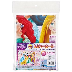 Disney Picnic Blanket Skater