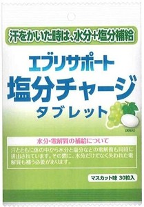 エブリサポート　塩分チャージタブレット　マスカット 【熱中症対策】