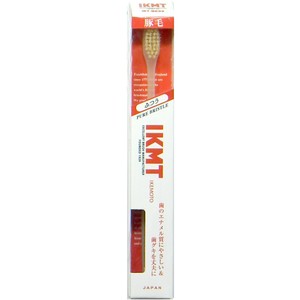Toothbrush Compact