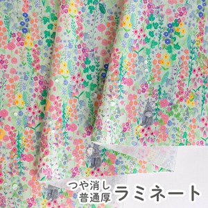 Cotton Sarasa Rabbit