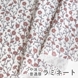 Cotton Garden Sarasa Orange
