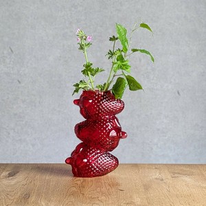 花瓶/花架 花瓶 水果 草莓