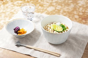 Hasami ware Donburi Bowl Donburi Udon Made in Japan