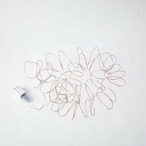 志成販売 LEDワイヤーライト ブリンク 10M 107120