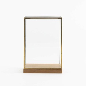 志成販売 BRASSフレーム ディスプレイBOX ワイド(L) 107785