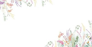 Envelope